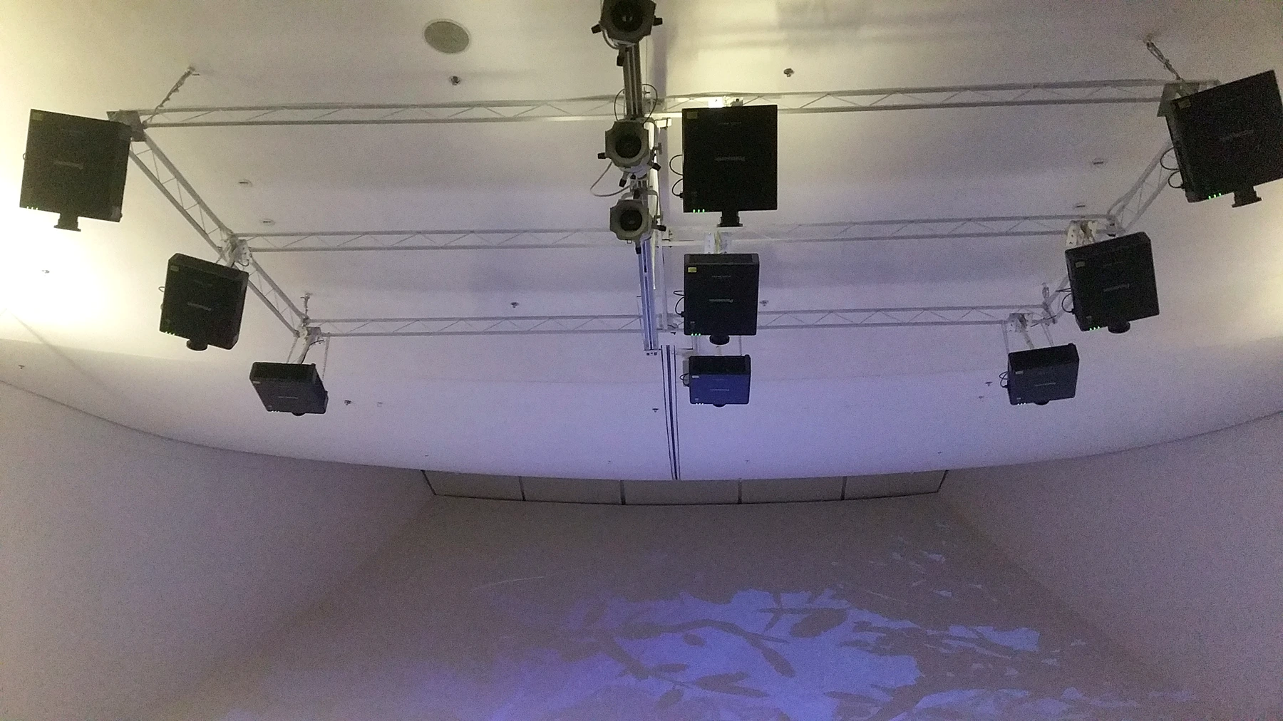 ArtScience Museum — Into The Wild